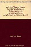 Auf dem Weg zu neuen Funktionsmaterialien: Selbstorganisierte Nanocomposite aus Amphiphilen und Siliciumdioxid