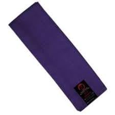 Lees Chinese Kung Fu Sash, Purple