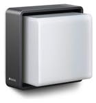 Steinel L 845 C Outdoor LED Wall Light, 3000 K, Smart Wall Light, Bluetooth Mesh, App Controlled, Anthracite