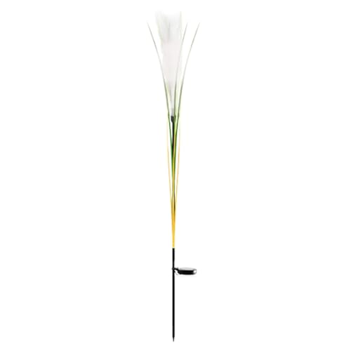 \[[t[Cg[ꂩ閾 - OXe[NCgAK[fhXP[vv| LED\[[u[~OƖAN₩ȃt[[h AʘĤ߂̑IȎŐ̕AoHAE