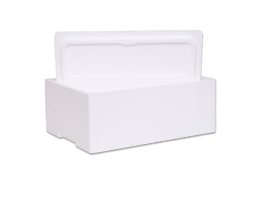 A/R SPEDIZIONEN Thermoskanne aus Polystyrol 5 kg / 5 l Thermosbox für Transport von Lebensmitteln