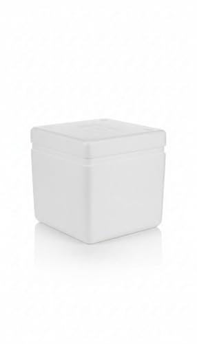 Image of 8 Litre Thermocol Temperature Box with Lid | 8 mm Thick Heavy-Duty EPS Insulated Ice Box for Food, Medical, Vaccine & Cold Storage Delivery