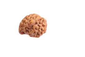 The Gallery of Gemstone Ganesh Rudraksha of Indonesia Origin Wooden Yantra by Lab Certified