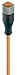 Lumberg Automation Lead,PVC, M12 SKT-Free End, 3P, 2M - RKT 4-3-06/2 M