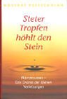 Steter Tropfen höhlt den Stein. Mikrotraumen - Das Drama der kleinen Verletzungen. 3629009360 Book Cover