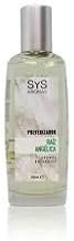 SYS Aromas Air Freshener Spray Angelica Root – Natural Scent – Long-Lasting Fragrance, Eliminates Odours, Home, Office, Bathroom, Car – 100 ml