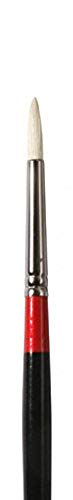 SG Education GOC 283024002 Gog ronde Huile Brosse, ronds Ă poils 2