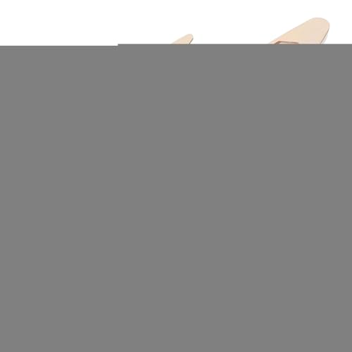 Hjatirace 模型船 - DIYパズルおもちゃ 挑戦,科学実験キット,6?14歳対象 ごっこ遊び 教育プロジェクト パーティー 屋外 屋内 家族 青少年 男の子 女の子向け