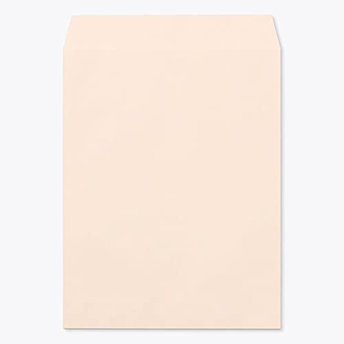 [P[X̔] RN  p3 X~\ ECsNCoC 100g giV 500 / B5p pXeJ[ n X֔ԍgȂ 00542042-0500