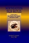 Northeastern Tiger Beetles 1st Edition