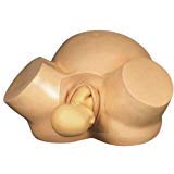 MG Scientific Vacuum Baby Delivery Model Advanced Midwifery Training for Nursing