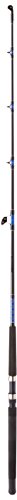 Shakespeare Tidewater Casting Rod