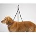 PetPath Nylon Table Harness 27 in