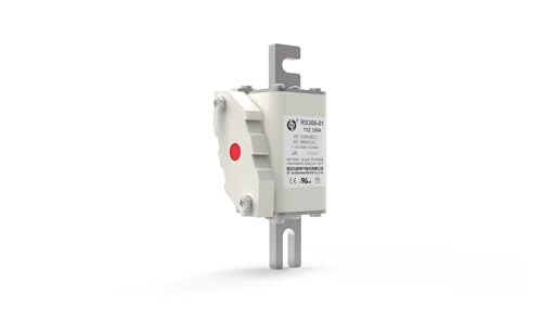 Fusible haute vitesse boulonné de sécurité supérieure RS306-01-T5Z 1250V - 3
