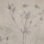 FLORA NATURE 16.5 x 16.5 Feinsteinzeug Wand- und Bodenfliese Keramikfliese Fliese