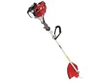 1 PZ DECESPUGLIATORE A SCOPPIO 4 TEMPI HONDA 50 I C CC.47,9 NextradeItalia Mod.FERX.FERRTIDNW