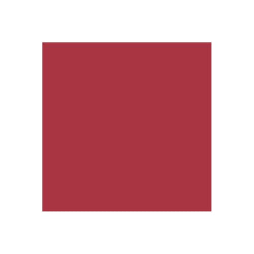 ACDelco GM Original Equipment 19417747 Cherry Pop Tint (WA252F) Four-In-One Touch-Up Paint - .5 oz Tube