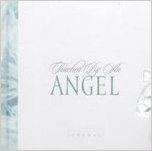 Touched by an Angel Journal 1881830640 Book Cover