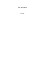 Dor Hamilkatim: Brachos 3 (Hebrew Edition) B0CXJF2WLX Book Cover