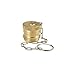 Hydraulax 6100 SERIES 1-1/4in. Brass Dust Plugs