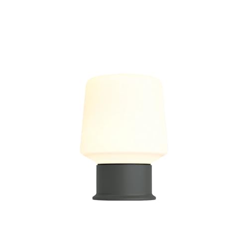 Image of Black Mushroom Lamp,Cute Cordless Rechargeable Table Lamp | 3 Color Tamps,LED Dimmable Ambient Lighting,Small Retro Touch Bedside Light for Bedroom Decor