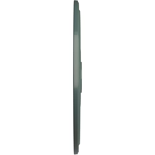 Image of Ekena Millwork CM24DICBF Diane Ceiling Medallion, 24 inchOD x 3 5 /8 inchID x 1 1 /4 inchP (Fits Canopies up to 6 1 /4 inch), Hand-Painted Cloud Burst