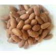 African Garcinia Kola Fresh Bitter Kola Nut Kolanut (5LB)