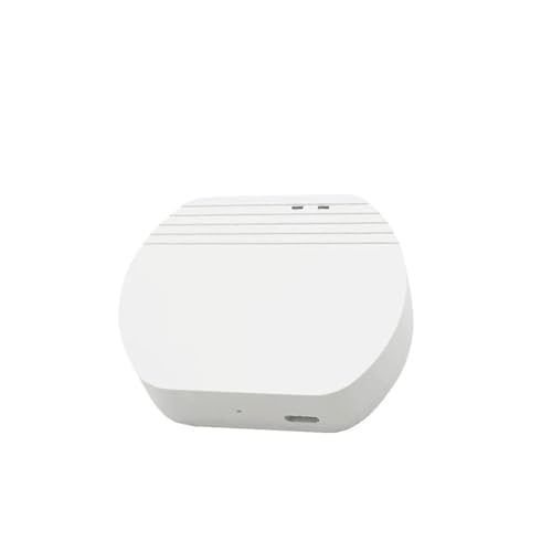 Module de disjoncteur commutateur 10A à commande vocale pour maison
