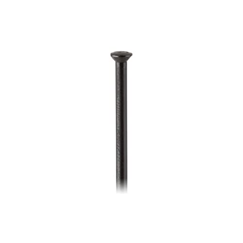 Rayon DT Swiss SKCSB296H 296 mm pour dévoiler et renforcer votre roue arrière