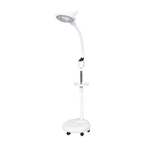 Lupa LED de pie 8X, lámpara facial de belleza con soporte de suelo rodante, giratorio 360°, soporte telescópico gratuito, diseño de bandeja, para salón de belleza, tatuaje, piel de uñas