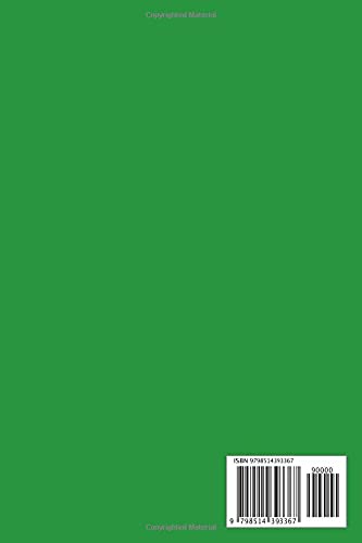 Emergency Lighting Log Book: Inspection Record Of Routine Test And Emergency Lighting System – vue 2