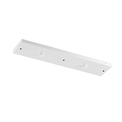 RENE Lighting canopy kit