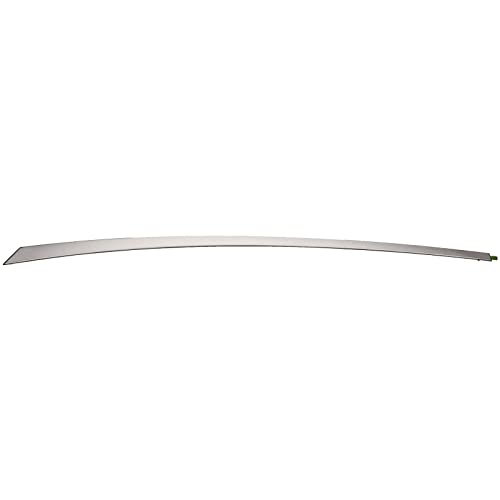 KIA Moulding Assy-RR DR