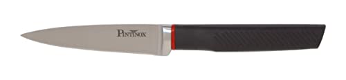 PINTINOX, Coltello Spelucchino Serie Living, Acciaio Inox