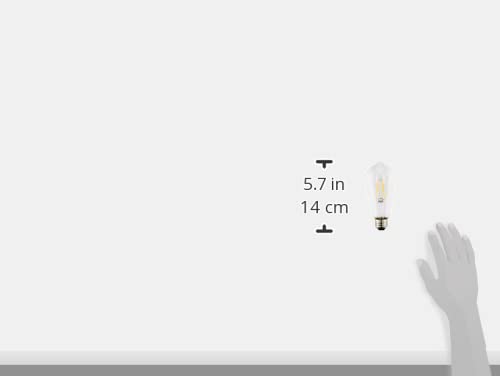 Amazon | 東京メタル工業 LED電球 LDST4WSTC-T2 エジソンランプ