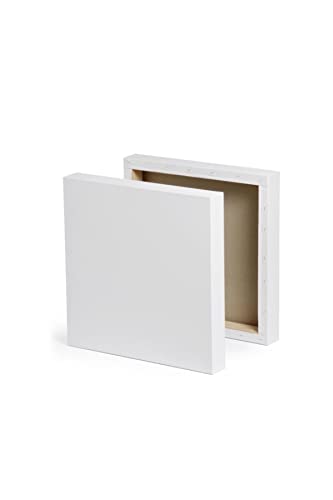 Foxy Mini Tuval 30x30 cm Kare Resim Tuvali - 1 Adet