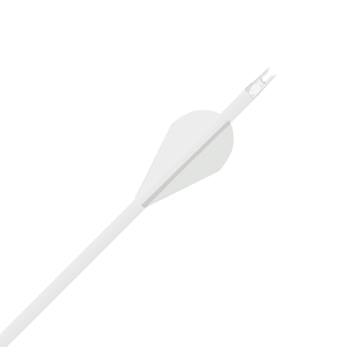 Flèches Gold Tip Ted Nugent Convaincus 300 pour éviter la casse - 2