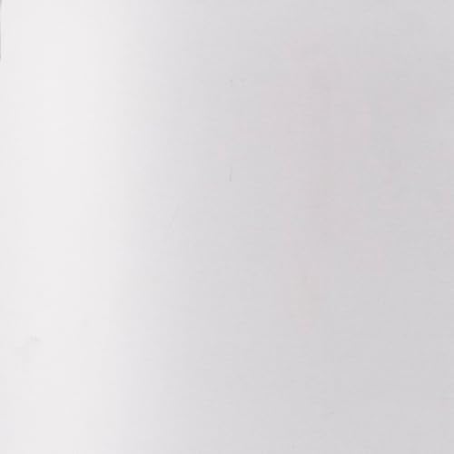 Bild 9 - LEHMANN Industriestaubsauger 30L - Nass Trockensauger mit Steckdose - Blasfunktion - Doppelfilteranlage mit HEPA-Filter - Filterrüttler - Allessauger für Werkstatt, Baustelle und Garage - Rot