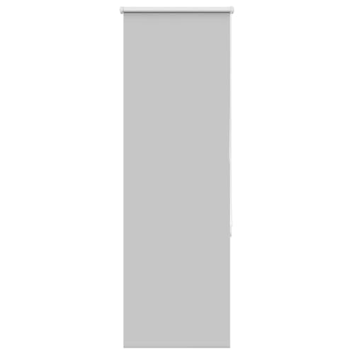 vidaXL Estor Enrollable Opaco Gris Claro 55x150 cm Tela Ancho 55,7 cm, Estor día y Noche, Estor de Cocina, Estor Opaco Enrollable, Estor Opaco