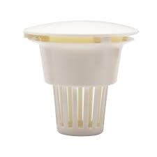 See full amazon price history chart for Gold Cura | Dental Spittoon Filter | Big | Dental Chair Spare Part Accessory Gold Cura | Dental Spittoon Filter | Big | Dental Chair Spare Part Accessory (B0C6FGZ2YK) Amazon Price History, Amazon Price Tracker