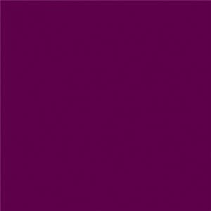 Adiserve 100 Serviettes Cocktails biodégradables 20 x 20 cm (Prune)