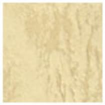 UbN66 203g  0.2mm A4TCY 500 ۉ