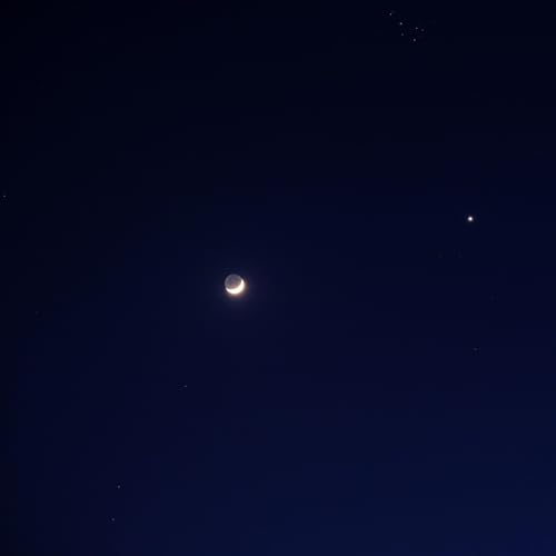 291 - Keizan's Denkoroku Lead Chapter: Shakyamuni's "I and All Beings" Podcast Por  arte de portada