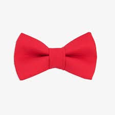 RR DESIGN Suspender and Bow Tie Set for Kids (0-24 months) multicolored (red) 1