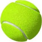 Cricket Tennis Balls, Balls of 6, Yellow (B0D47K2YWN) Amazon Price History, Amazon Price Tracker