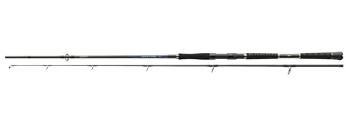 Daiwa Sealine Pilk - Caña de pescar (2,10 m - 2,70 m, 2,40 m, 80-200 g)