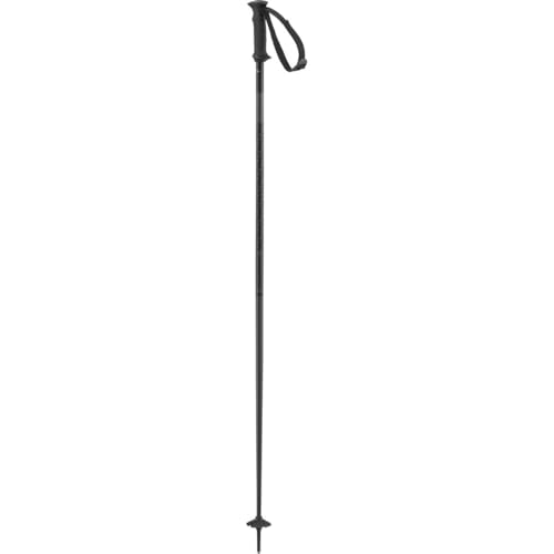 SALOMON Polar Access, Alpine Poles WSE, Black, 120