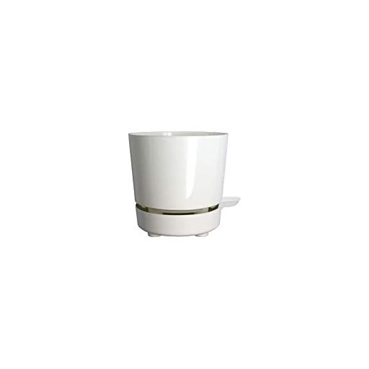 6" Self Watering + Self Aerating High Drainage Deep Reservoir Round Planter Pot Maintains Healthy Roots for Indoor & Outdoor & Windowsill Gardens (White)