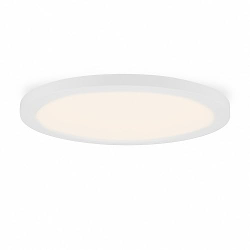 Mextronic LED-Aufbaupanel/LED-Einbaupanel warmweiß (3000k) rund, Ø 165mm, 12W