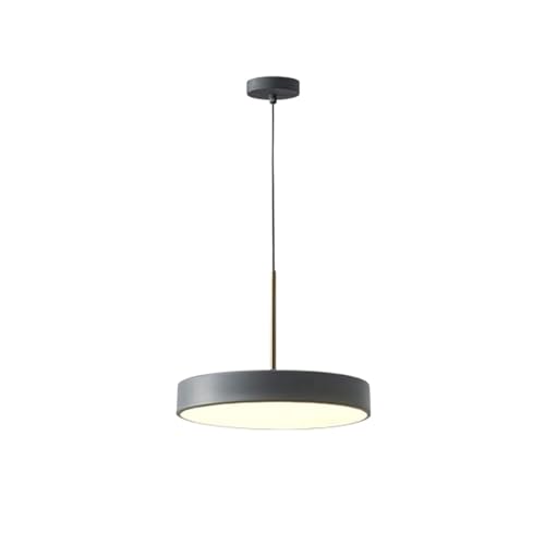 Luminaire Suspendu Rond Blanc 23cm Plafonnier Fin 6000K